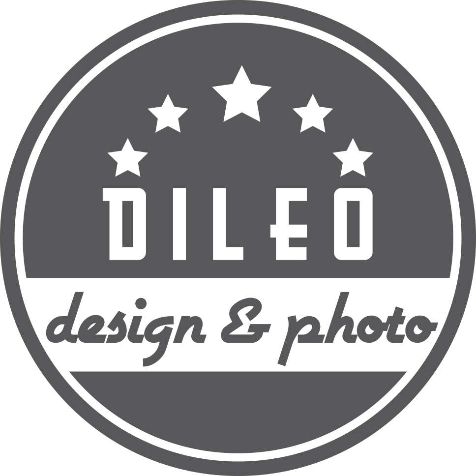 DDP_Grey_Logo